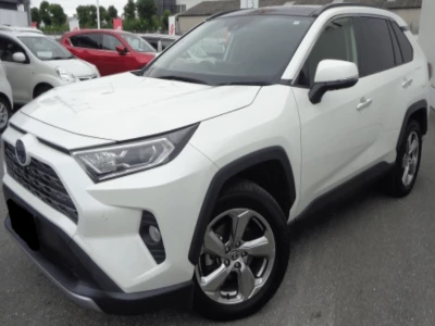 TOYOTA RAV4 2021 Image