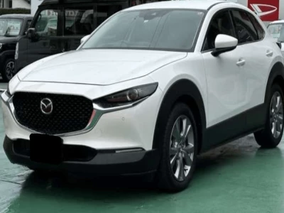 MAZDA CX-30 2022 Image