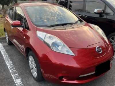 NISSAN LEAF 2014 Image